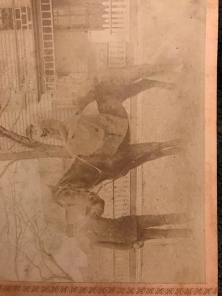 Antique Photo Horse With Owner Early 1900’s Cabinet Card Fisher ILL ILLINOIS 2