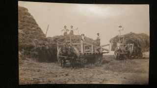 Antique Rppc Real Photo Farm Hay Harvest Horse Drawn Wagons,  Men & Women