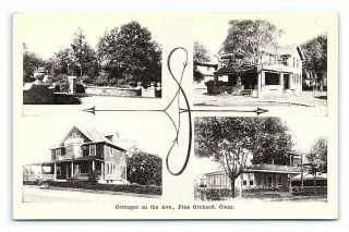 Vintage Postcard Multiview Cottages On The Ave.  Pine Orchard Connecticut J12
