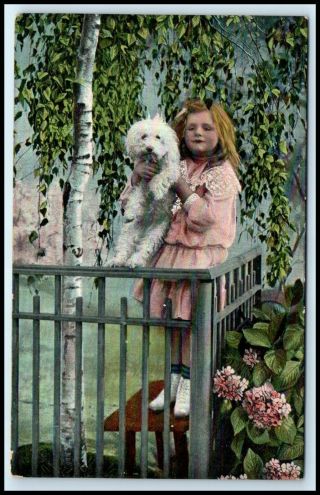 Early Postcard - Cute Little Girl Holding Small White Poodle / Puppy E11