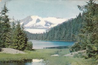 Mendenhall Glacier & Auke Lake,  Alaska,  1959,  Dear Doctor Adv.  Postcard From Abbott