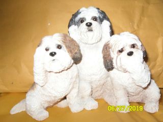 Shitzu Dogs Figurine/collectible - Bark No Evil