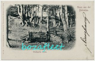 1898 Bukowina Bucovina Waldpartie Solka K.  U.  K.  Postcard