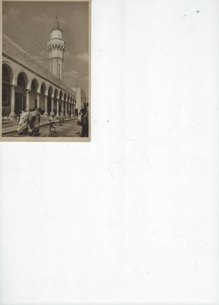 Vintage Postcard " Tripoli - Portici Moschea Dei Caramanli "