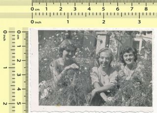 Three Women In Grass Ladies Females Old Photo Snapshot
