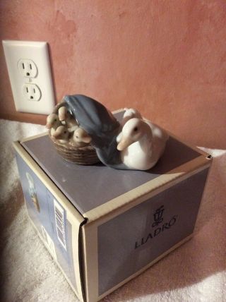 Lladro Duck With Ducklings In Basket Figurine,  4895 With Box