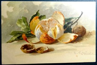 Postcard Artist Signed C.  Klein (catherine) Orange & Pecan Nuts Walnuts Udb