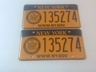 York State Official Government License Plates