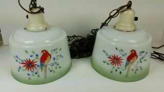 Unique Rare Mid Century Hanging Lights Parrots Painted On White Glass