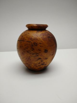 Burl Wood Alligator Vase