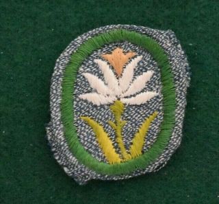 Vintage 1913 - 52 Girl Scout Daffodil - Version 1 - Troop Crest - Silver Green