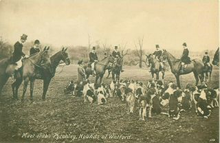 Pc Watford Pytchley Fox Hounds Hunting Meet Northamptonshire By Vogt C1912