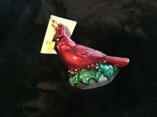 Red Cardinal Bird Glass Christopher Radko Christmas Holiday Ornament Decoration