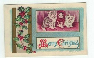 Antique Embossed 3 Cats Kittens Christmas Post Card Scary Looking Cats