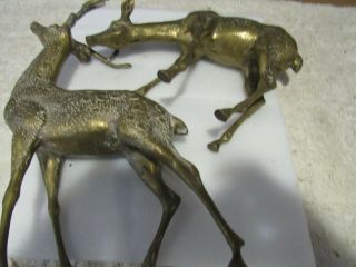Vintage Large Solid Brass Stag Buck & Doe Deer Pair Patina Statues