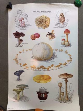 Fungi And Smokey Bear U.  S.  Forest Service Poster Says “please” Colorful