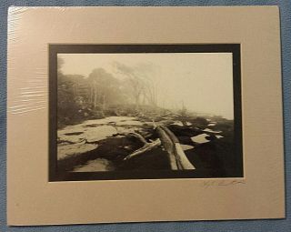 Clyde Butcher Signed Photographic Print 1989 Big Talbot Is.  Jacksonville Florida