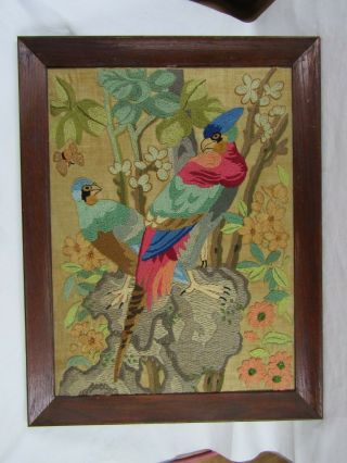 Antique Crewel Framed Needlework Picture On Linen Bright Birds