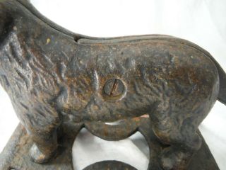 Antique Vintage Cast Iron Dog Mechanical Nut Cracker,  10 ½”,  St.  Bernard? – VGC 3