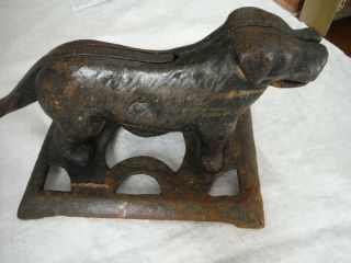 Antique Vintage Cast Iron Dog Mechanical Nut Cracker,  10 ½”,  St.  Bernard? – VGC 6