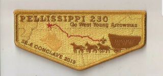Boy Scout Oa 230 Pellissippi Lodge 2019 Sr - 6 Conclave Flap