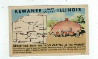 Il Kewanee Illinois Antique Linen Post Card Greetings From Hog Capital Of World