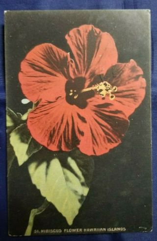 Pre - 1907 Vintage Private Mailing Postcard Hawaii Red Hibiscus Flower