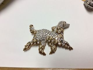 A Swarovski Signed Gold Plated Irish Setter Dog Pin Brooch With Clear Crystals.