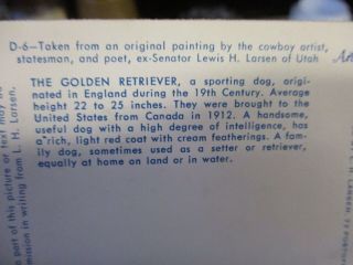 Artist Tone 1953 Postcard L H Larsen The Golden Retreiver 4