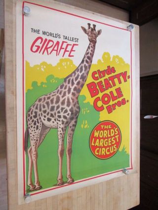 Old Clyde Beatty Cole Bros Circus Poster Vintage