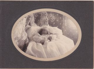 Post Mortem Cabinet Card 2 Day Old Baby Girl 1902 Id On Verso