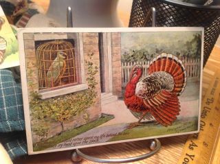 Vintage Thanksgiving Postcard Turkey Talking To Caged Bird In Window