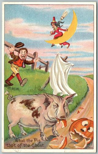 Halloween 1910 Antique Postcard Pig Tho 