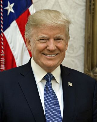 11x14 Photo: Donald Trump,  45th President Of The United States
