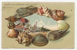 Postcard Coney Island Ny Seashell Border Amusement Park Looping The Loop 1906