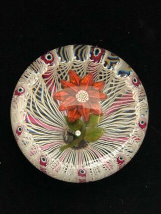 Stunning Paul Ysart Red Flower Art Glass Cane Lattinico Paperweight Py Cane
