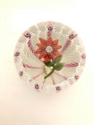 Stunning Paul Ysart Red Flower Art Glass Cane Lattinico Paperweight PY Cane 9