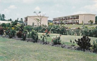St James,  Barbados,  50 - 60s ; Garden At Sunset Crest