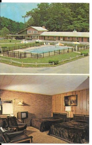Postcard Maryland Baltimore Forest Motel Chrome Unposted Retro Americana