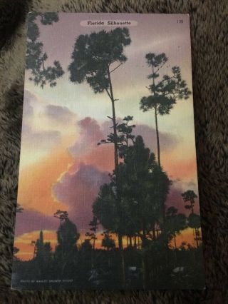 Vintage Postcard Linen Posted 1960 Florida Fl Sunset Silhouette