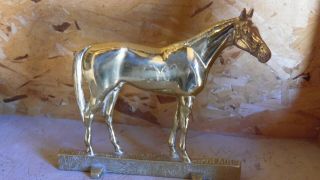 Vintage Solid Brass 18 - 9 Race Horse Citation Doorstop 9 5/8 "