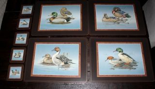 Pimpernel British Duck Place Mats And Coasters 4 Mats And 5 Coasters Boxes Incl