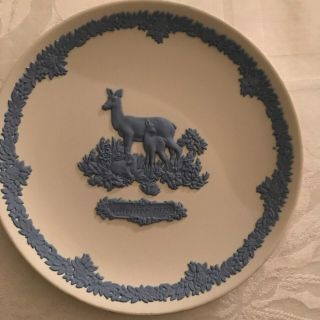 Wedgwood Blue On White Jasper Ware 6 1/2 Inch Plate Mother 1979