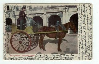 La Orleans Louisiana Antique 1905 Post Card Milk Wagon