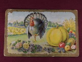 Vintage Thanksgiving Postcard Fall Harvest Bounty Turkey Spreads Feathers
