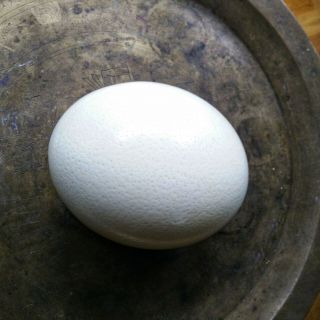 Ostrich Egg 15 " Diameter