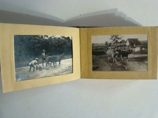 Photo Album 1940 Vietnamese Open Market Natives Big Game Hunting,  40 Orig Photos