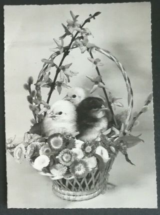 Vintage Postcard Easter In German,  Ein Frohes Osterfest