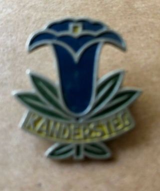 1931 World Scout Moot Kandersteg Switzerland,  Participant Pin Badge
