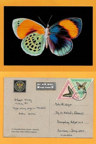 Maluku Selatan Postcard Butterfly Stamp Butterfly Rare
